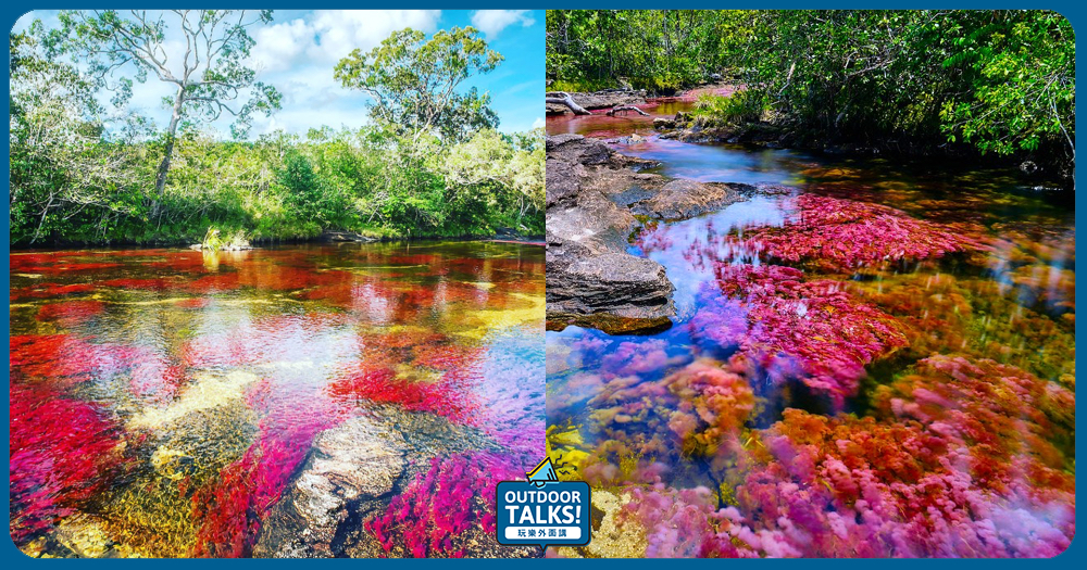 ♥ 哥倫比亞有世界上最美麗的河流 ♥ 如上帝撒下顏料般的液體彩虹美景🌈
