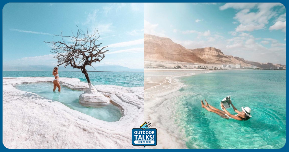 一片荒蕪中的唯一生物鹽島樹🌴以色列死海行前必知🔍