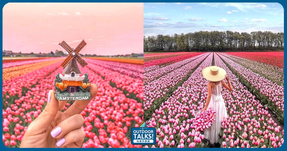 鬱金香大國荷蘭的花海巡禮🌷最佳賞花行前必知🔍 