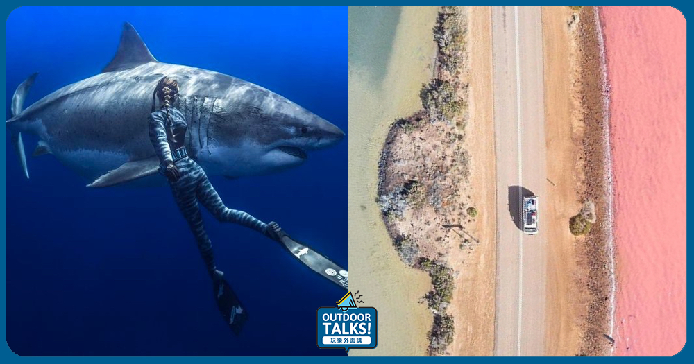 距離大白鯊最近且最安全的景點🦈南澳洲的冒險公路之旅🚗